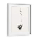 Suculenta Gráfica Vi - Vision Studio | Cuadro decorativo de Canvas Lab