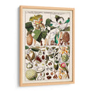 Carta De Magnolia | Cuadro decorativo de Canvas Lab