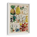 Gráfico De Piña | Cuadro decorativo de Canvas Lab