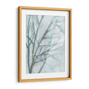 Árbol Con El Cielo Blanco Ii - Jennifer Goldberger | Cuadro decorativo de Canvas Lab