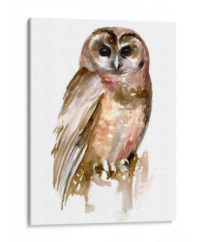 Búho Acuarela Ii - Jennifer Paxton Parker | Cuadro decorativo de Canvas Lab