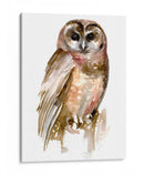 Búho Acuarela Ii - Jennifer Paxton Parker | Cuadro decorativo de Canvas Lab