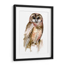 Búho Acuarela Ii - Jennifer Paxton Parker | Cuadro decorativo de Canvas Lab