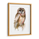 Búho Acuarela Ii - Jennifer Paxton Parker | Cuadro decorativo de Canvas Lab