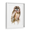 Búho Acuarela Ii - Jennifer Paxton Parker | Cuadro decorativo de Canvas Lab