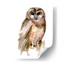 Búho Acuarela Ii - Jennifer Paxton Parker | Cuadro decorativo de Canvas Lab