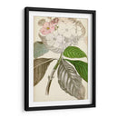 Botánicos Plateados V - Vision Studio | Cuadro decorativo de Canvas Lab