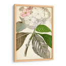 Botánicos Plateados V - Vision Studio | Cuadro decorativo de Canvas Lab