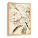 Botánicos Plateados Viii - Vision Studio | Cuadro decorativo de Canvas Lab