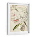 Botánicos Plateados Viii - Vision Studio | Cuadro decorativo de Canvas Lab