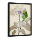 Botánicos Plateados Ix - Vision Studio | Cuadro decorativo de Canvas Lab