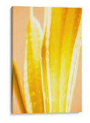 Casa Caliente Ii - Renee W. Stramel | Cuadro decorativo de Canvas Lab