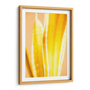 Casa Caliente Ii - Renee W. Stramel | Cuadro decorativo de Canvas Lab