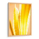 Casa Caliente Ii - Renee W. Stramel | Cuadro decorativo de Canvas Lab