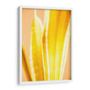 Casa Caliente Ii - Renee W. Stramel | Cuadro decorativo de Canvas Lab