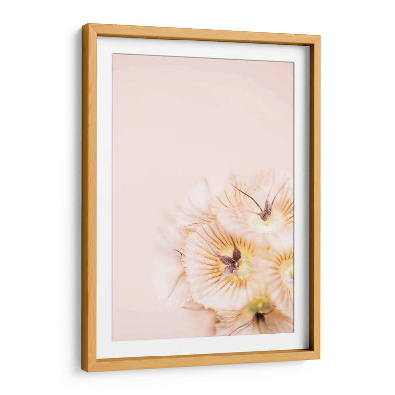 Blonde Blonde I - Renee W. Stramel | Cuadro decorativo de Canvas Lab