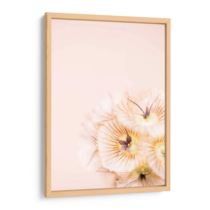 Blonde Blonde I - Renee W. Stramel | Cuadro decorativo de Canvas Lab