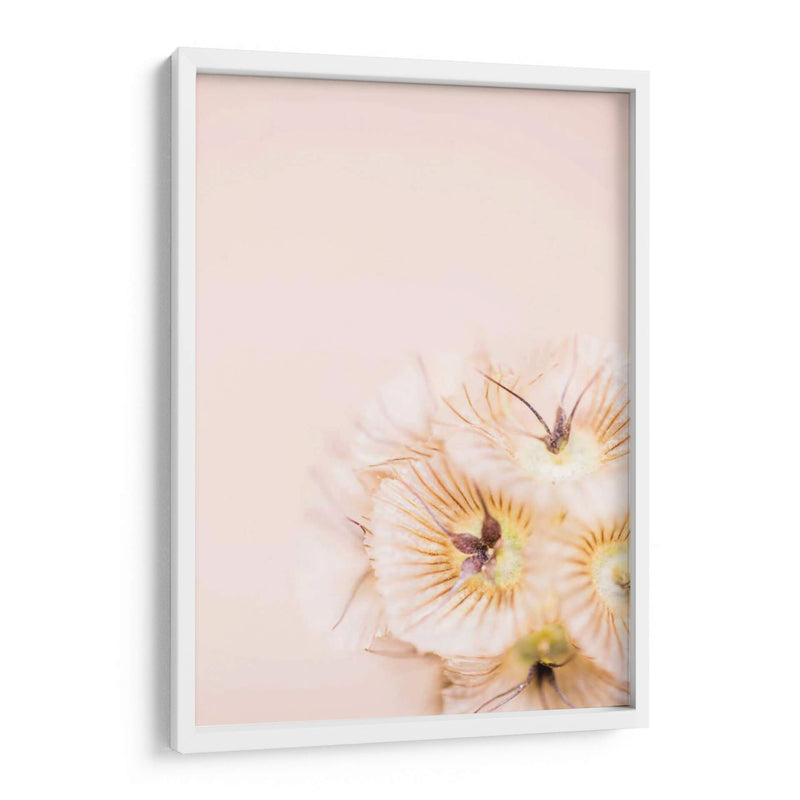 Blonde Blonde I - Renee W. Stramel | Cuadro decorativo de Canvas Lab