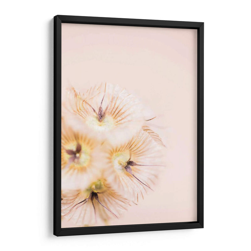 Blonde Rubia Iii - Renee W. Stramel | Cuadro decorativo de Canvas Lab