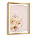 Blonde Rubia Iii - Renee W. Stramel | Cuadro decorativo de Canvas Lab