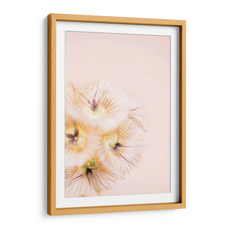 Blonde Rubia Iii - Renee W. Stramel | Cuadro decorativo de Canvas Lab