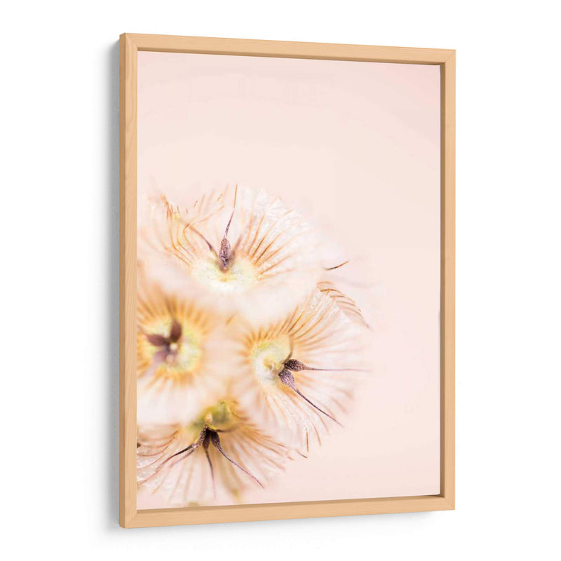 Blonde Rubia Iii - Renee W. Stramel | Cuadro decorativo de Canvas Lab