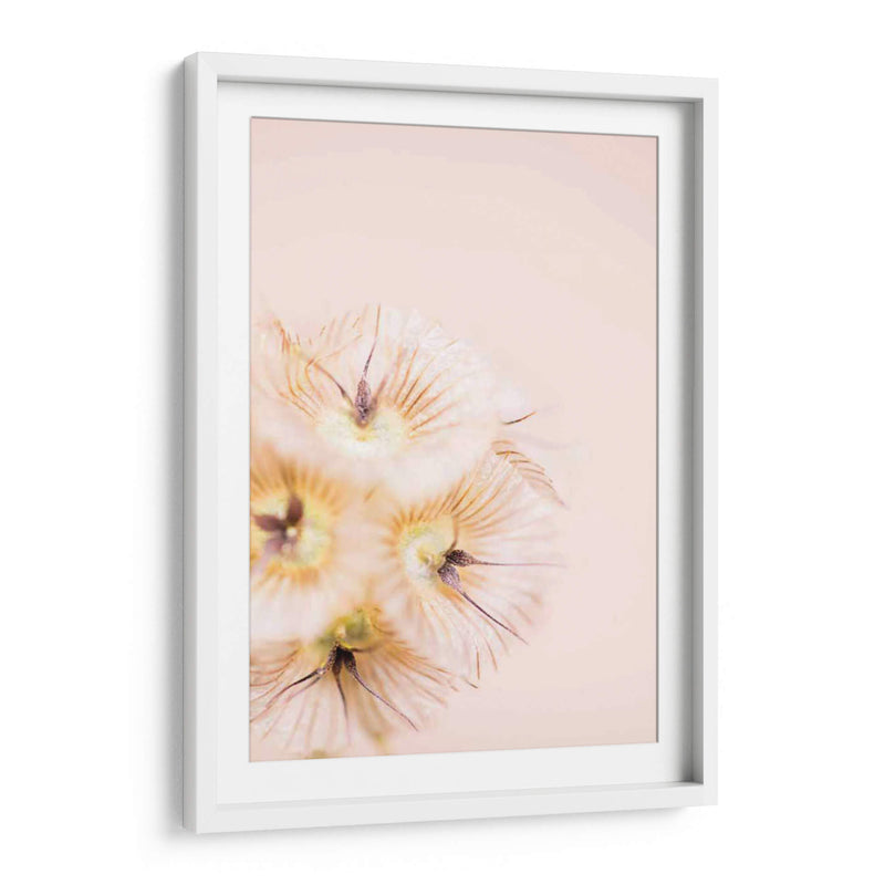 Blonde Rubia Iii - Renee W. Stramel | Cuadro decorativo de Canvas Lab