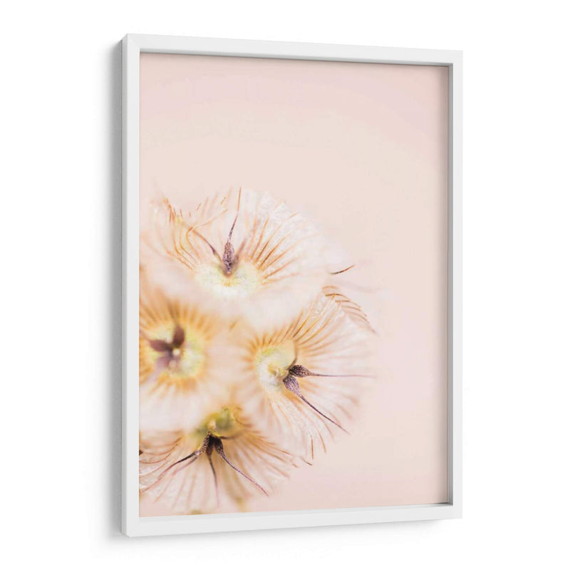 Blonde Rubia Iii - Renee W. Stramel | Cuadro decorativo de Canvas Lab