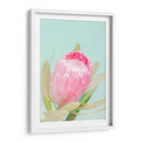 Flor Empapada Sol - Renee W. Stramel | Cuadro decorativo de Canvas Lab