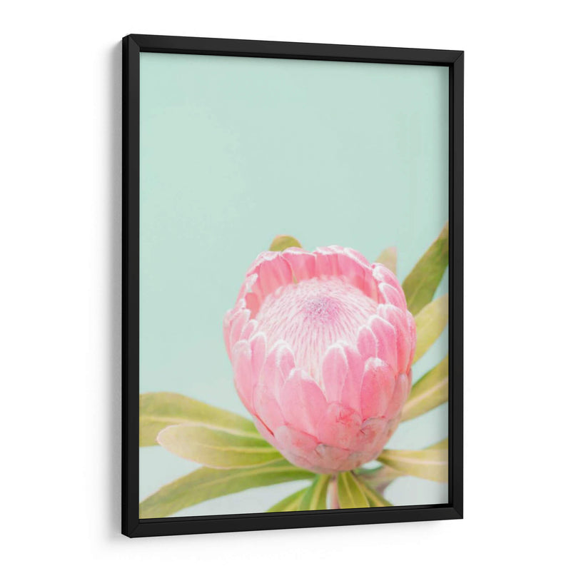 Blossom De Sun Blossom Ii - Renee W. Stramel | Cuadro decorativo de Canvas Lab