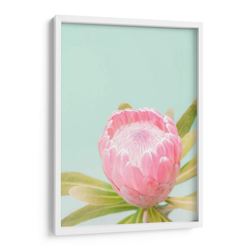 Blossom De Sun Blossom Ii - Renee W. Stramel | Cuadro decorativo de Canvas Lab