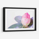 Halógena Bloom I - Renee W. Stramel | Cuadro decorativo de Canvas Lab