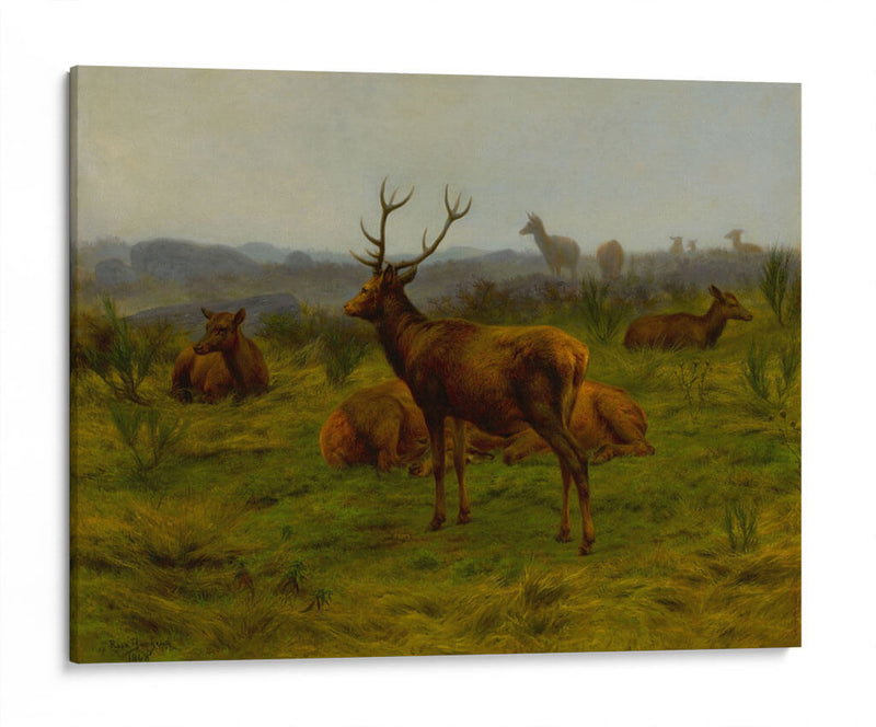 El monarca de la manada - Rosa Bonheur | Cuadro decorativo de Canvas Lab