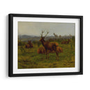 El monarca de la manada - Rosa Bonheur | Cuadro decorativo de Canvas Lab