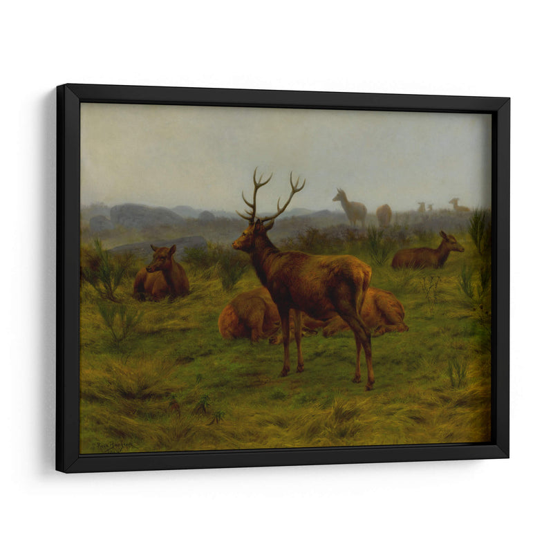 El monarca de la manada - Rosa Bonheur | Cuadro decorativo de Canvas Lab