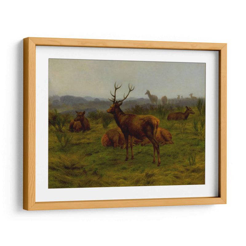 El monarca de la manada - Rosa Bonheur | Cuadro decorativo de Canvas Lab
