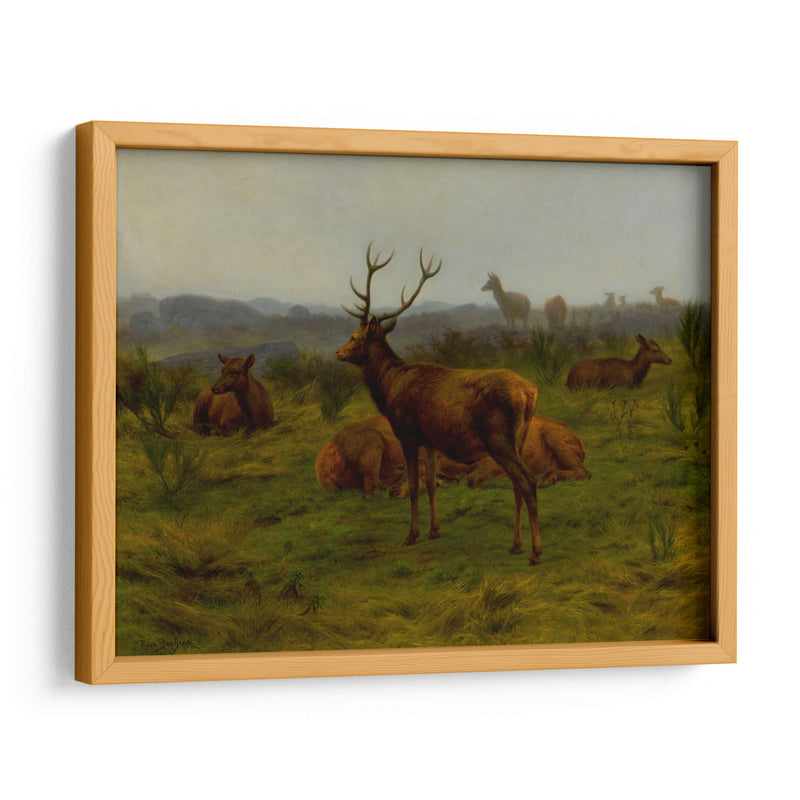 El monarca de la manada - Rosa Bonheur | Cuadro decorativo de Canvas Lab