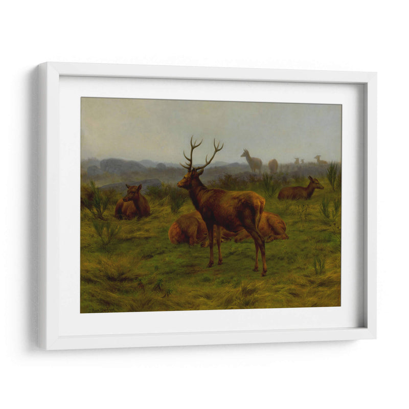 El monarca de la manada - Rosa Bonheur | Cuadro decorativo de Canvas Lab