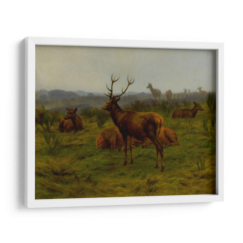 El monarca de la manada - Rosa Bonheur | Cuadro decorativo de Canvas Lab