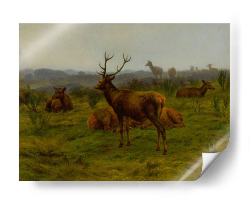 El monarca de la manada - Rosa Bonheur | Cuadro decorativo de Canvas Lab