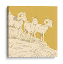Big Horn I - W. Rutledge | Cuadro decorativo de Canvas Lab