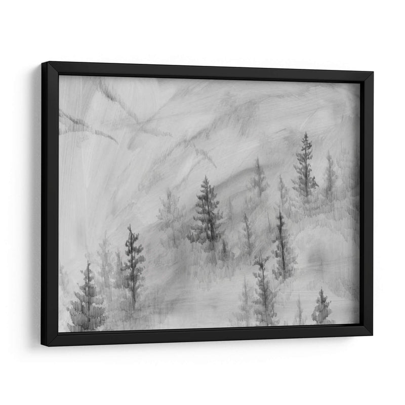 Foothills De Niebla Ii - W. Rutledge | Cuadro decorativo de Canvas Lab