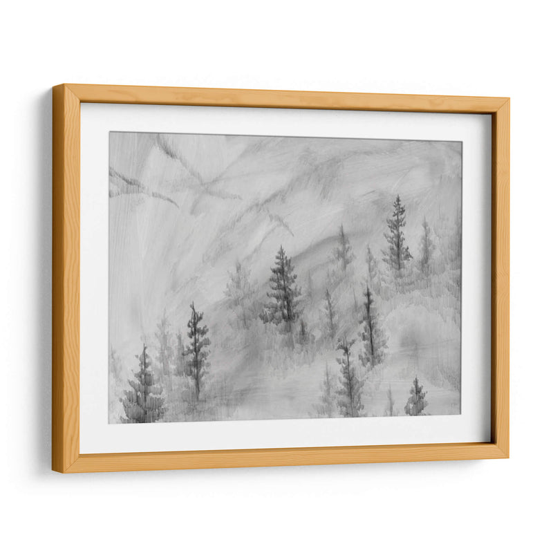 Foothills De Niebla Ii - W. Rutledge | Cuadro decorativo de Canvas Lab