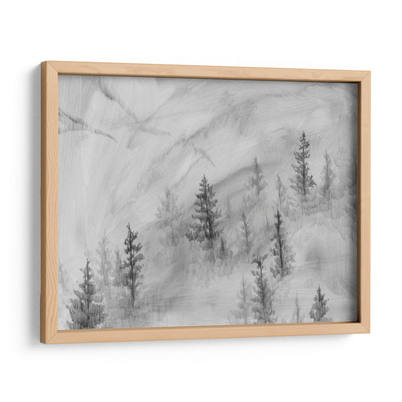 Foothills De Niebla Ii - W. Rutledge | Cuadro decorativo de Canvas Lab