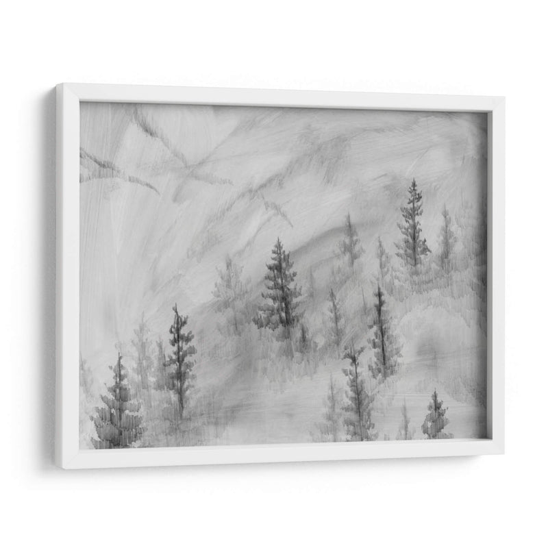 Foothills De Niebla Ii - W. Rutledge | Cuadro decorativo de Canvas Lab