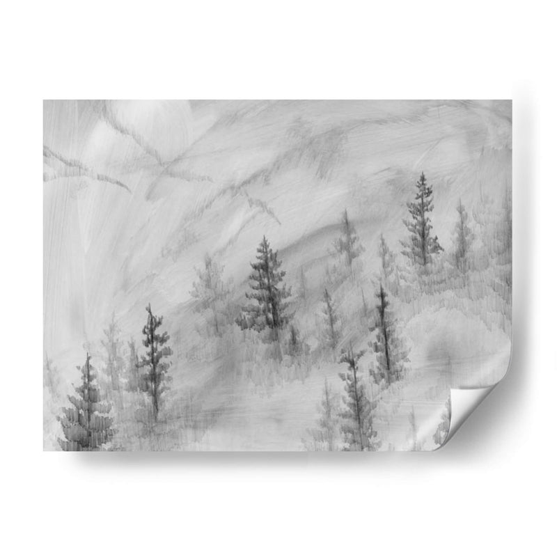 Foothills De Niebla Ii - W. Rutledge | Cuadro decorativo de Canvas Lab