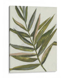 Pastel Frond Ii - Jennifer Goldberger | Cuadro decorativo de Canvas Lab