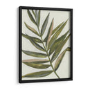 Pastel Frond Ii - Jennifer Goldberger | Cuadro decorativo de Canvas Lab