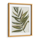 Pastel Frond Ii - Jennifer Goldberger | Cuadro decorativo de Canvas Lab