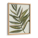 Pastel Frond Ii - Jennifer Goldberger | Cuadro decorativo de Canvas Lab